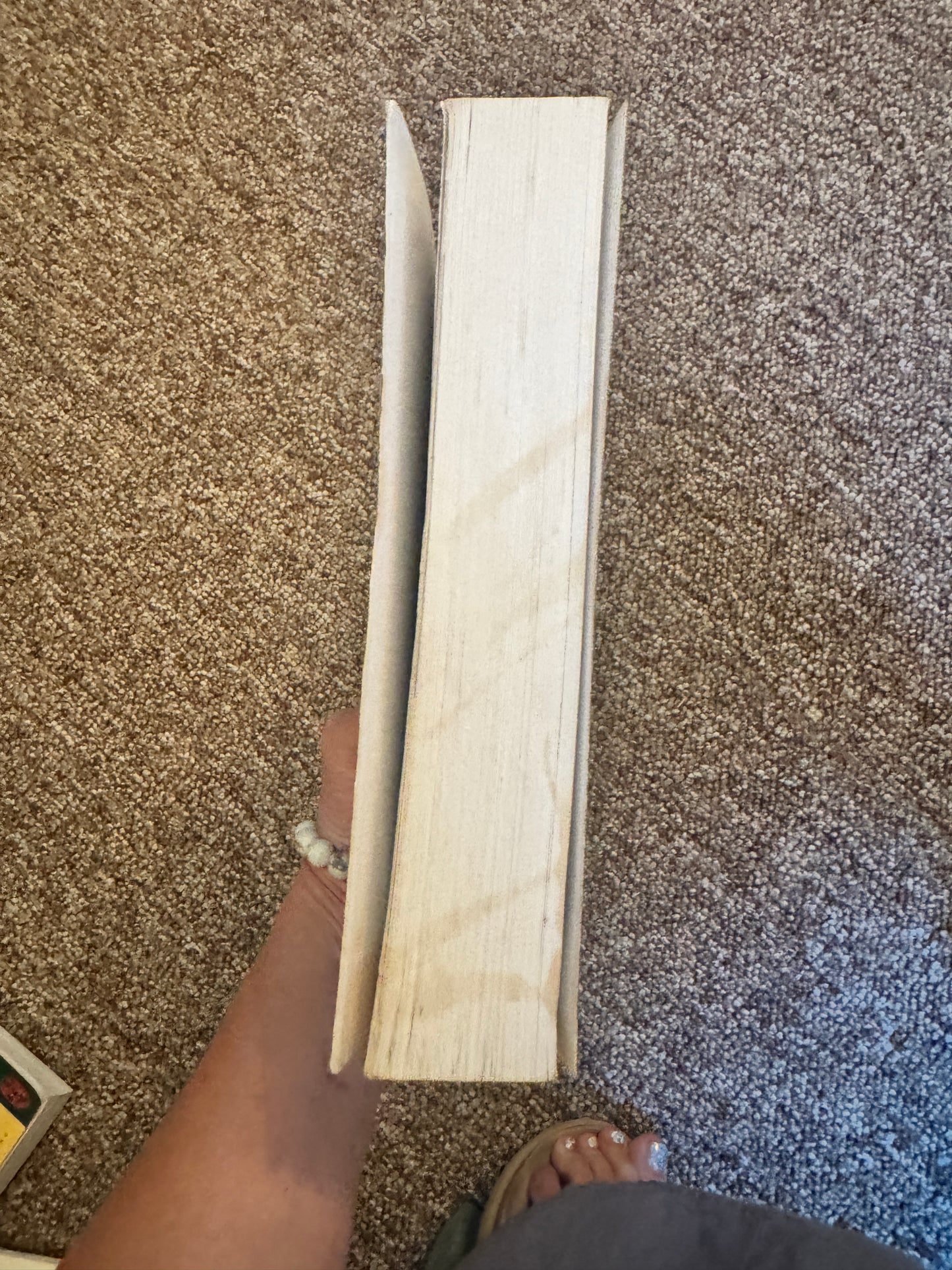 Genesis, Creation and Early Man: The Orthodox Christian Vision